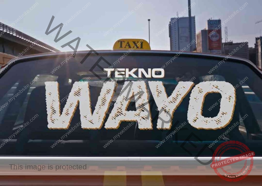Tekno - Wayo