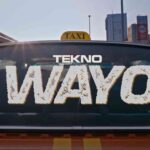 Tekno - Wayo